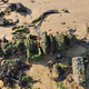 Image for article titled Help Solve The Mystery Of The Four Cars Abandoned On An Obscure NYC Beach